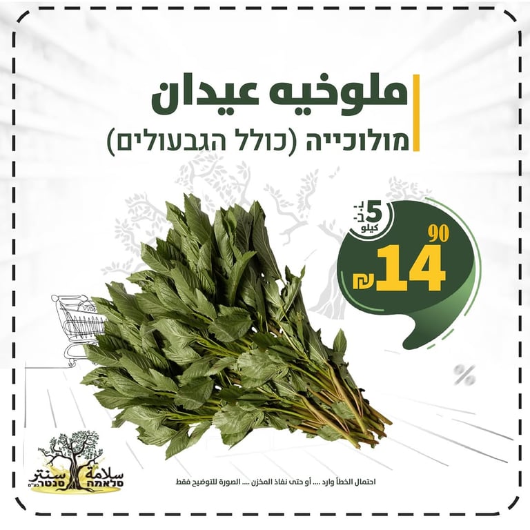 ملوخيه عيدان