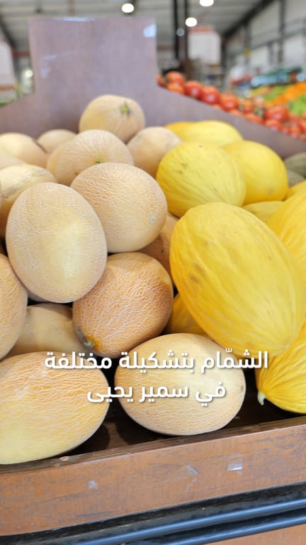 الشمّام وصل بتشكيلة مختلفة وطعمة صيف بتفتح النفس 🍈☀️