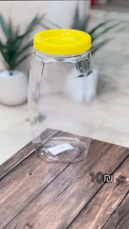 موسم الزيتون