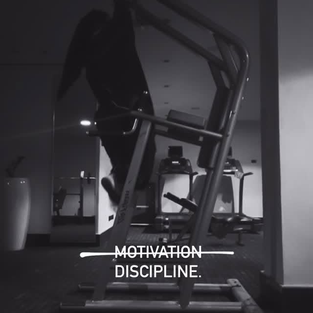Motivation gets you one day. Discipline gets you every day.🏆