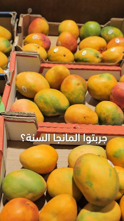 كل فاكهة إلها موسمها… وسمير يحيي جامعلكم أحلى طعمة من الموسم 🍒🥭🍍🍑