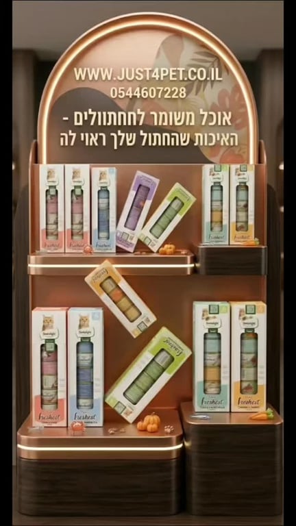 🐱 לפנק, לפנק, לפנק! (ולשמור על הבריאות של החתול שלך)