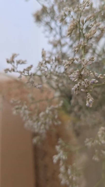 💖 من صديقة العمر... إلى صديقة النجاح، هدية تحمل كل الحب والفخر.