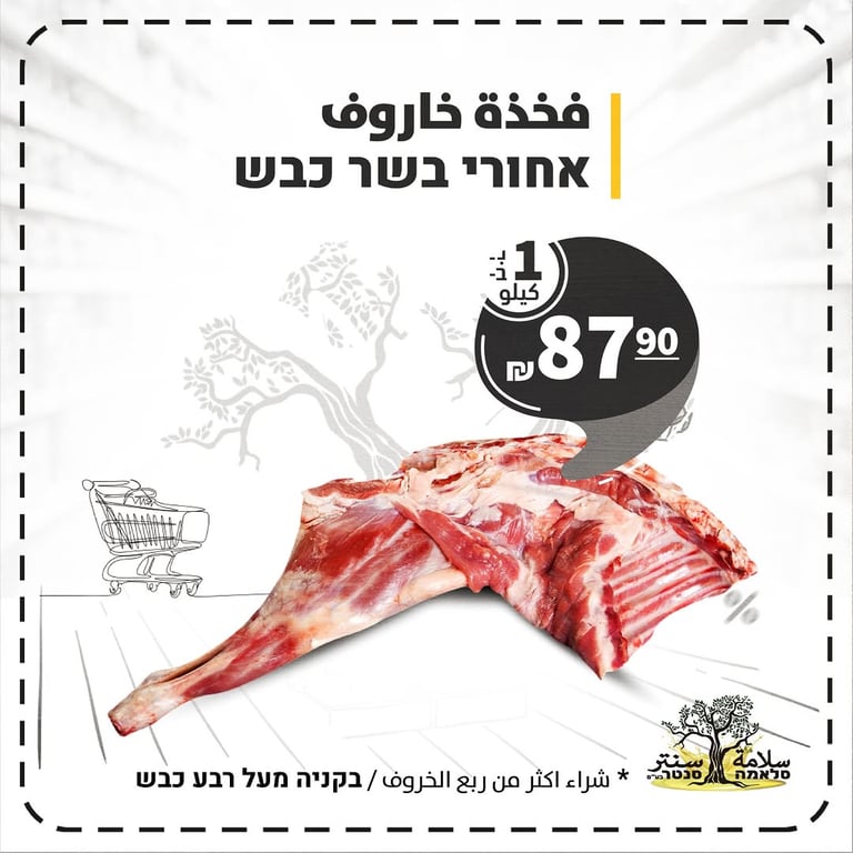 🎯 السعر اللي بتدور عليه ✔️