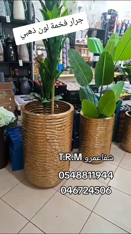 #لسنا_الوحيدون_لكننا_الافضل #مزهريات