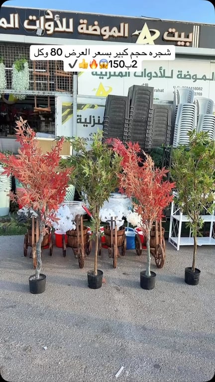 منشور من بيت الموضة للأدوات المنزلية