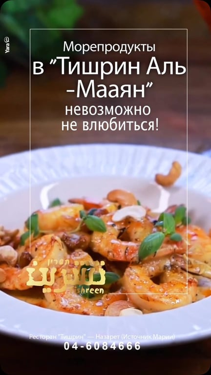 #tishreen #תשרין #culinary #shrimps #shrimpstagram #נצרת #tishreennazareth